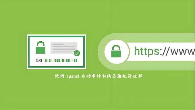 使用 1panel 自动申请和续签通配符证书