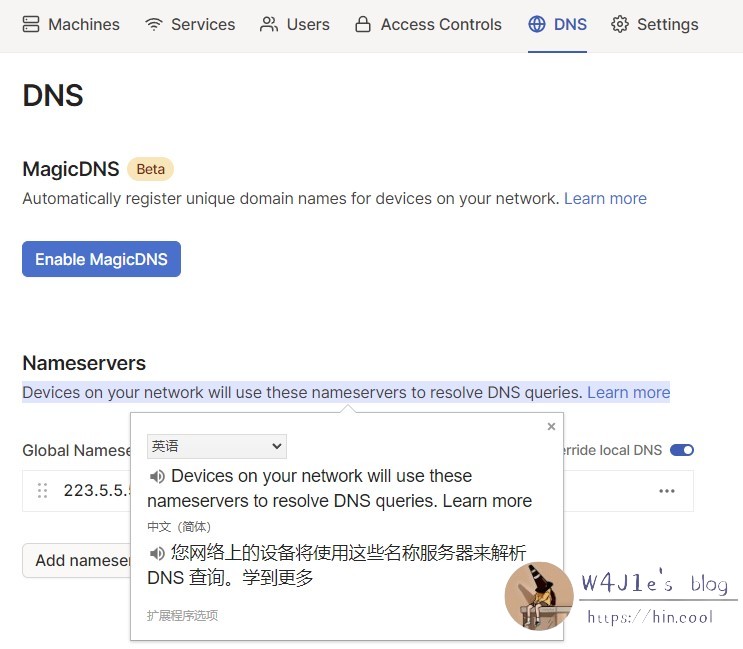 taiscale的DNS设置