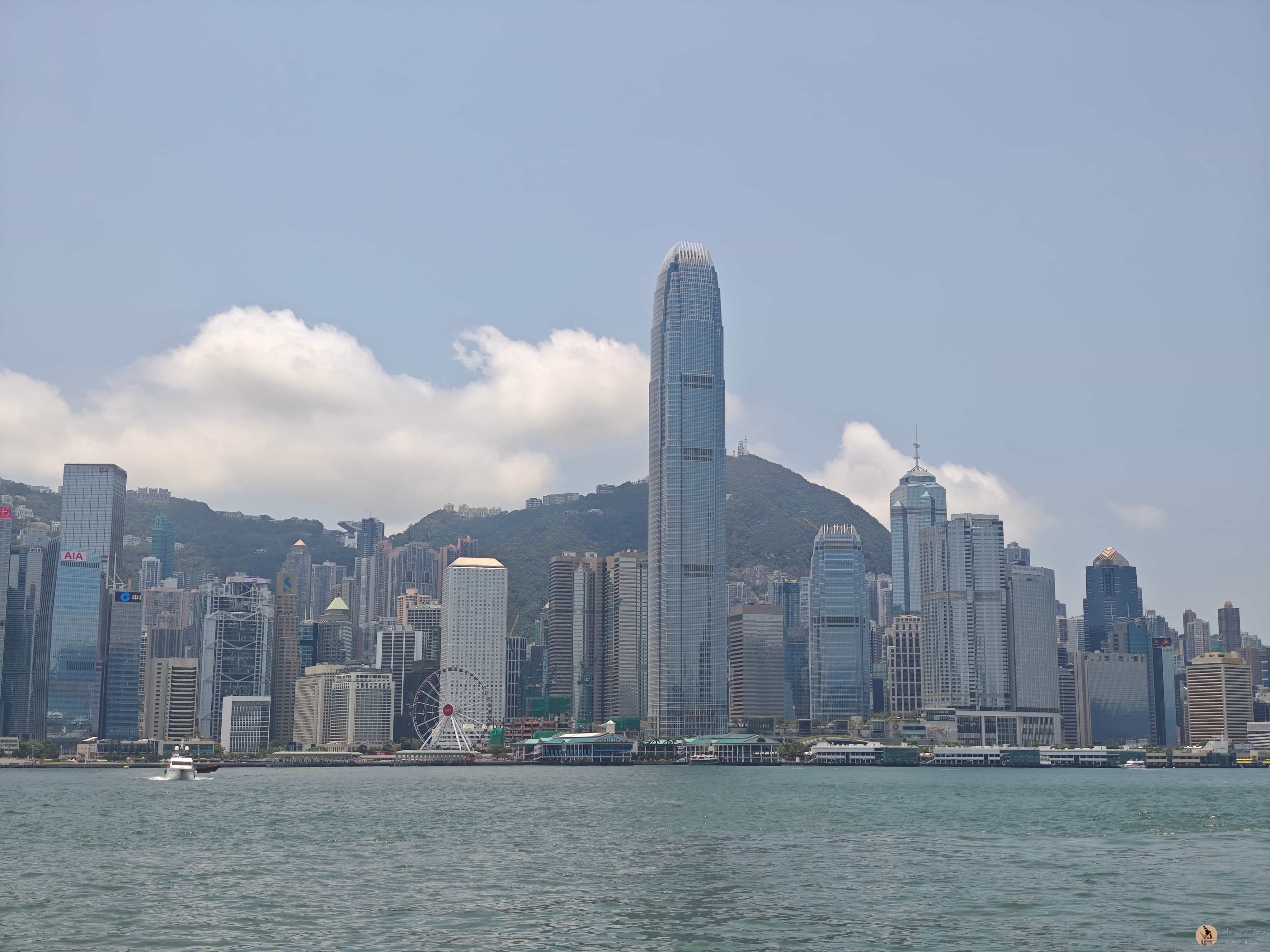 正午维港
