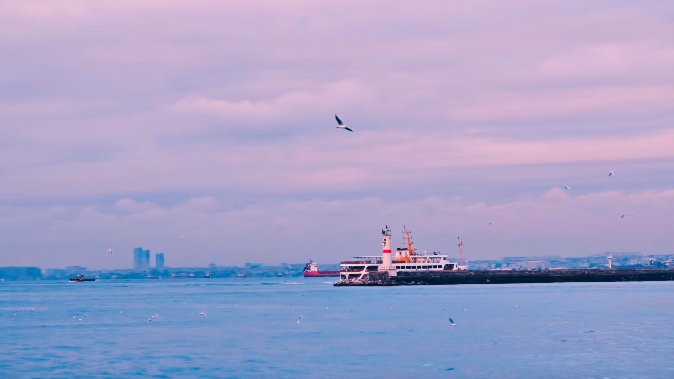 寒假游·土耳其伊斯坦布尔