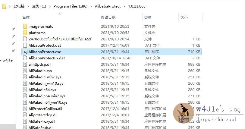 阿里所谓的保护进程