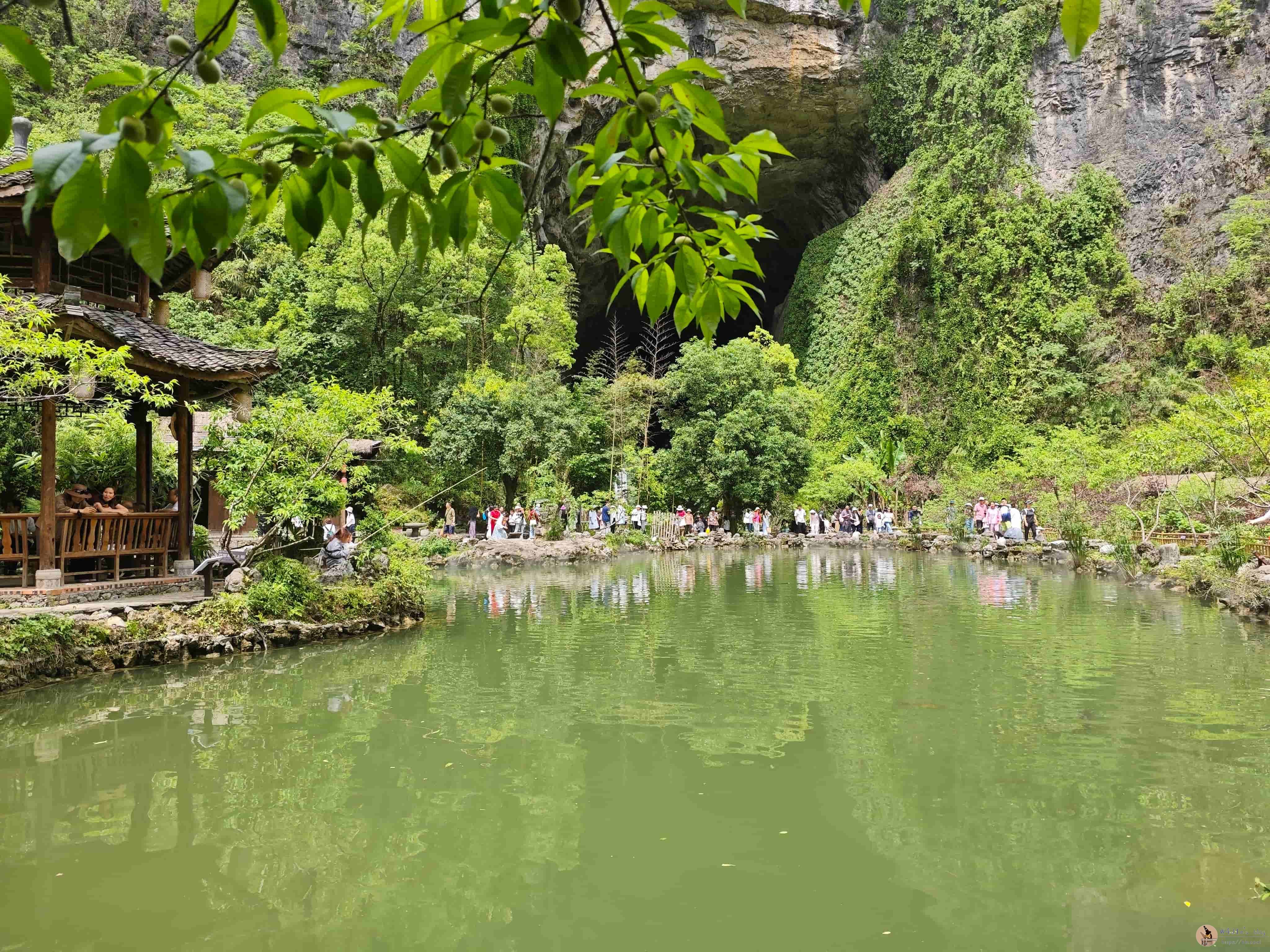 碧水岸边，有人垂钓